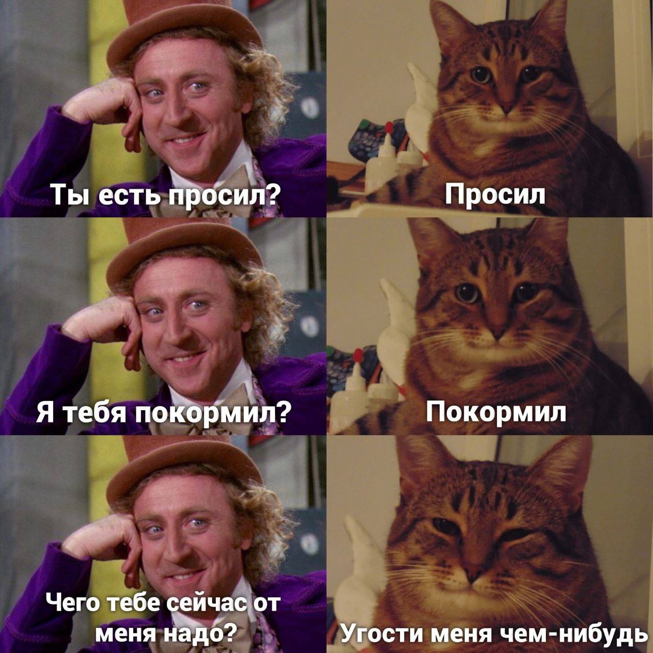 IMG_3582.jpeg