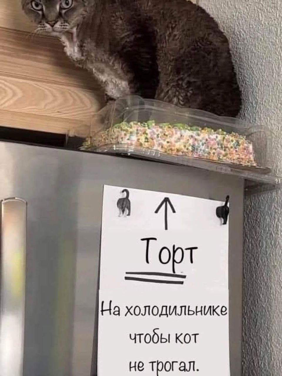 IMG_3584.jpeg