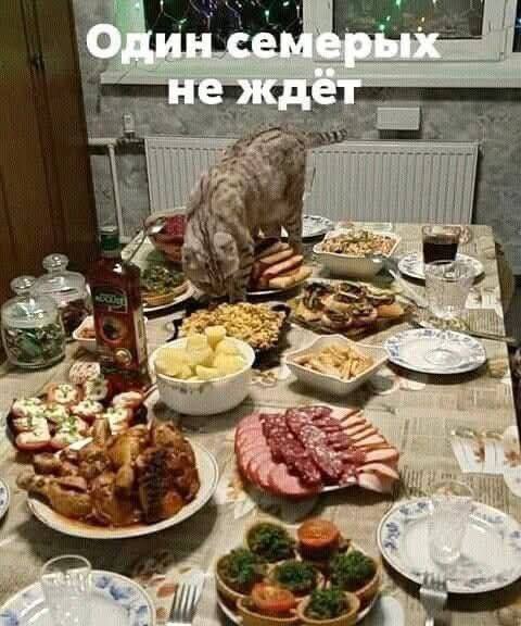 IMG_3606.jpeg