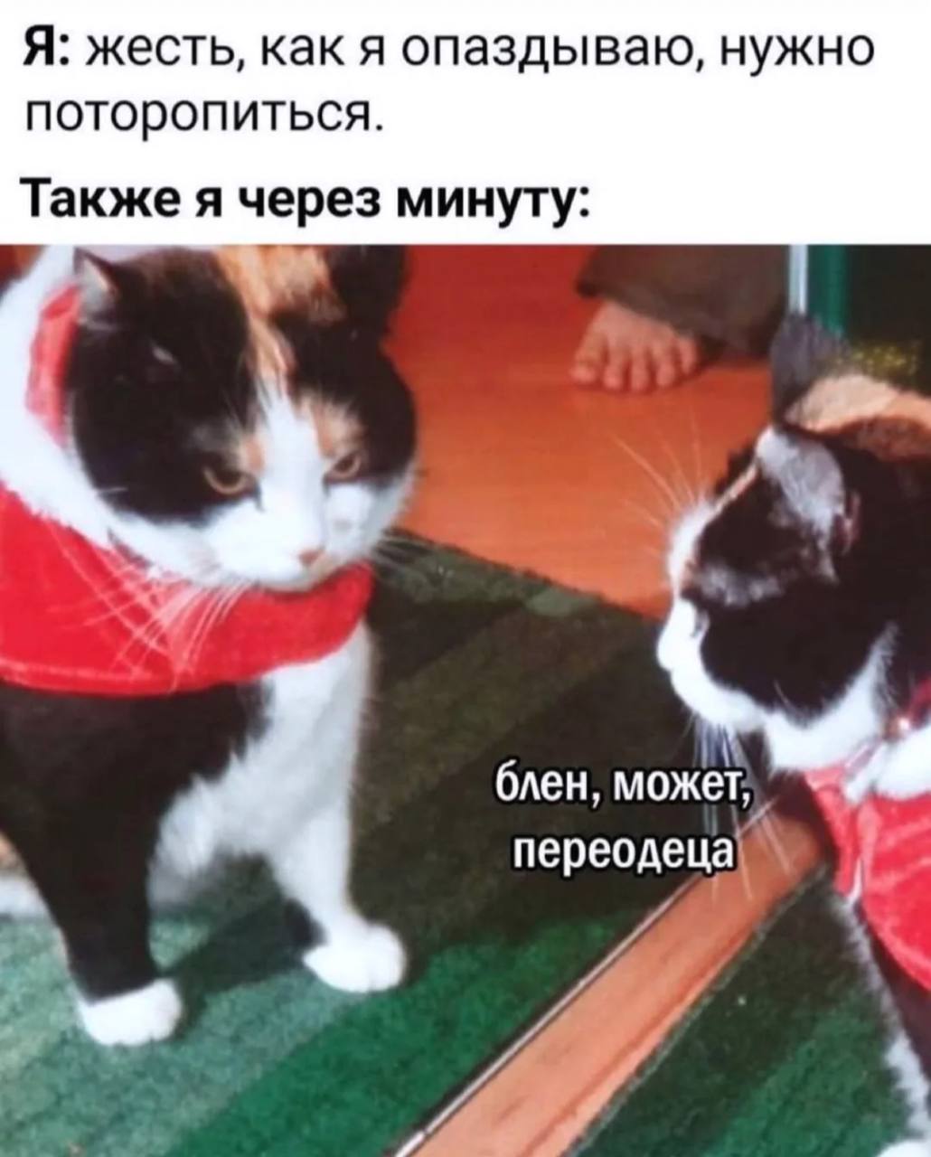 IMG_3613.jpeg