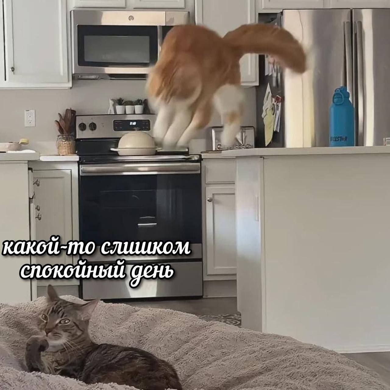 IMG_3635.jpeg