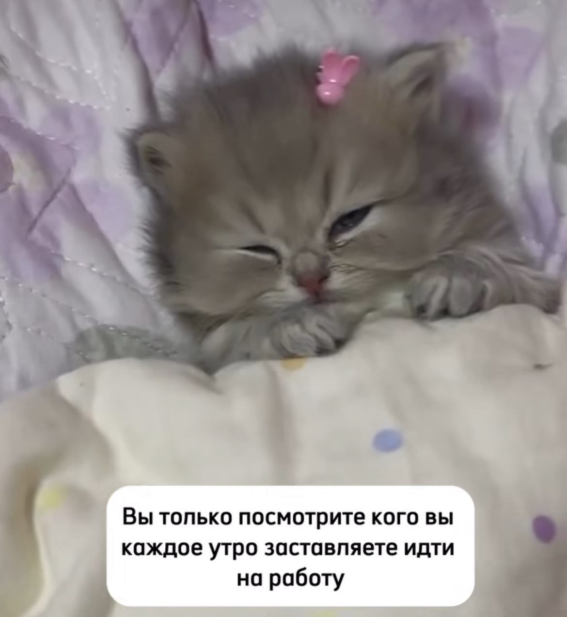 IMG_3638.jpeg