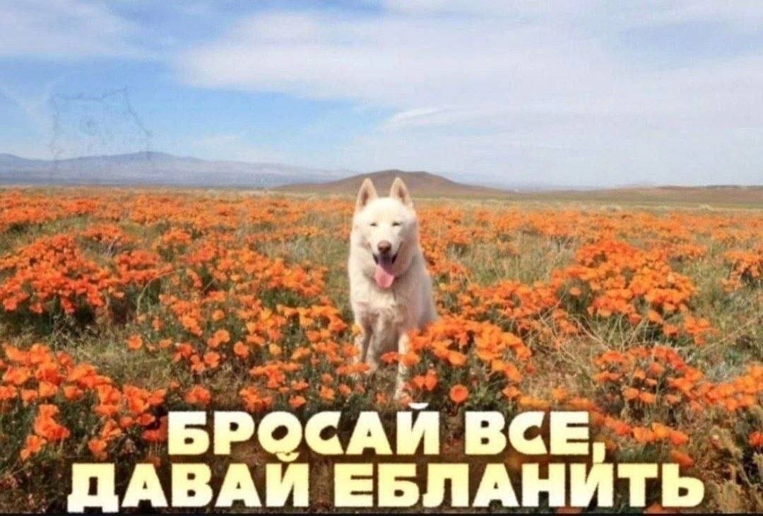 IMG_3639.jpeg