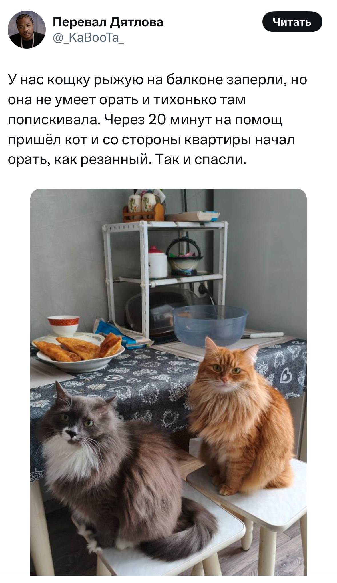 IMG_3642.jpeg