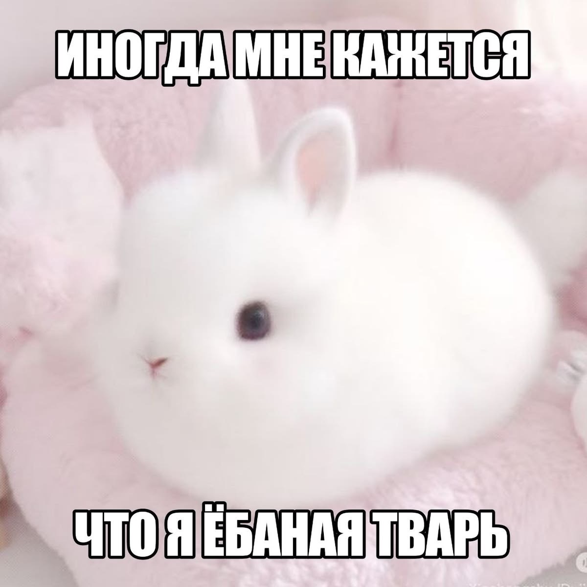 IMG_3662.jpeg