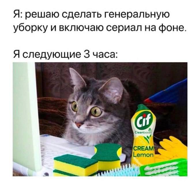 IMG_3702.jpeg
