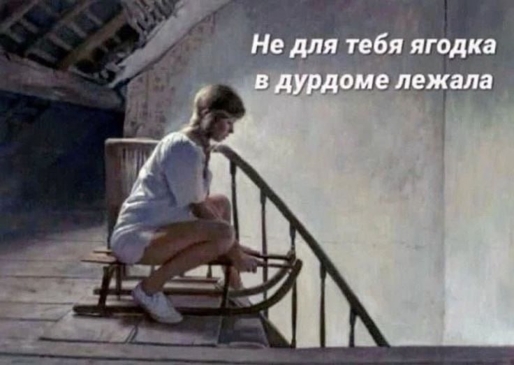 IMG_3703.jpeg