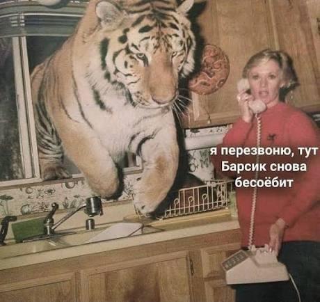 IMG_3717.jpeg