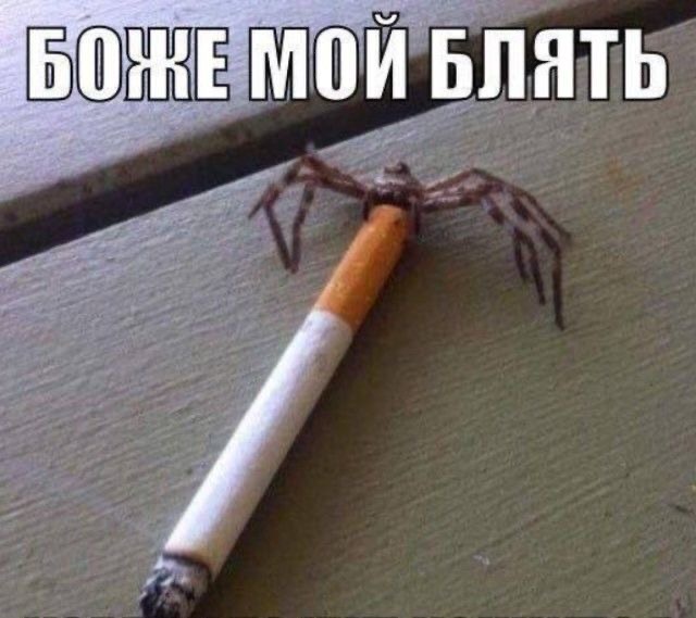 IMG_3725.jpeg