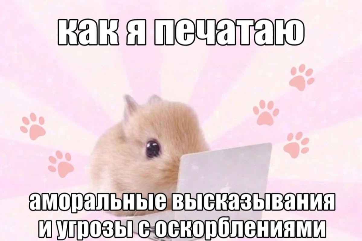 IMG_3732.jpeg
