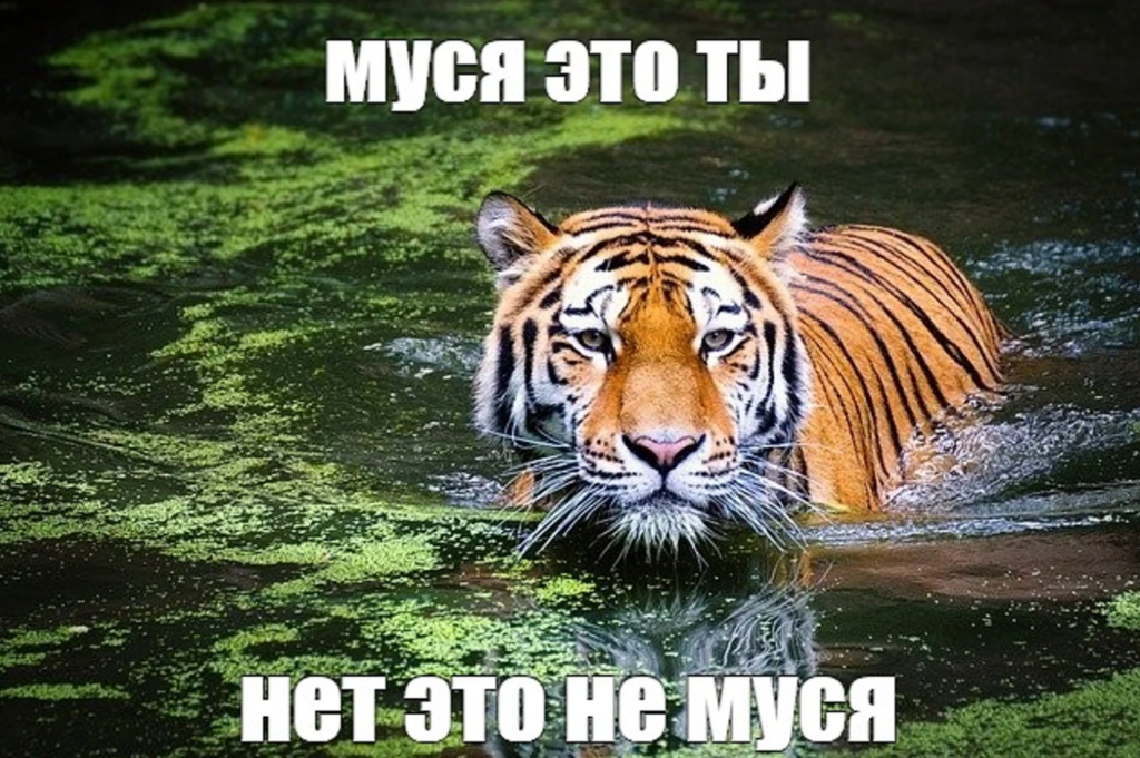 IMG_3733.png