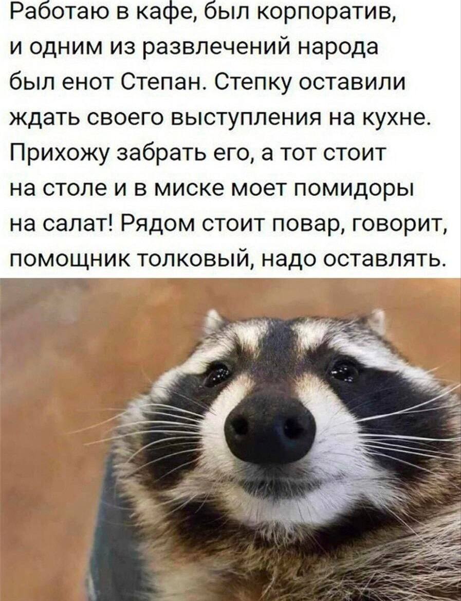 IMG_3735.jpeg