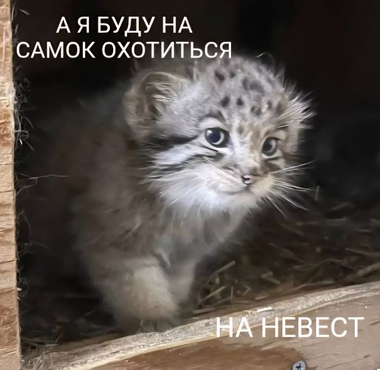IMG_3736.jpeg