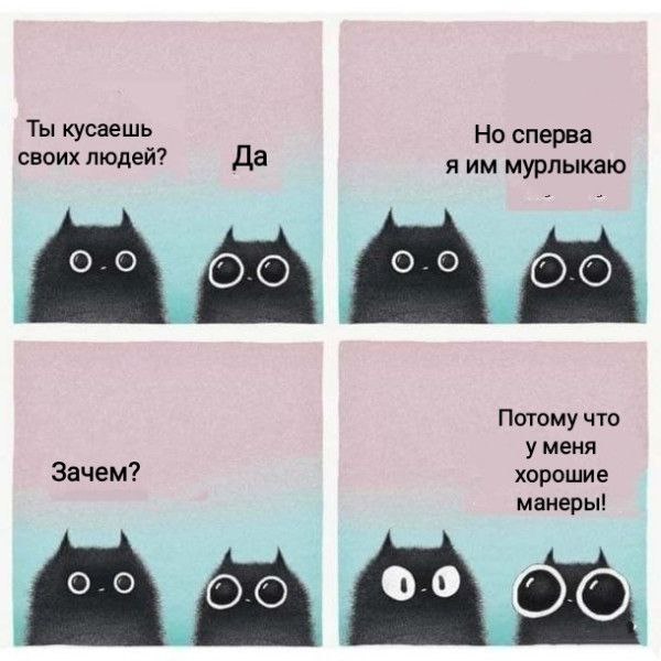 IMG_3737.jpeg