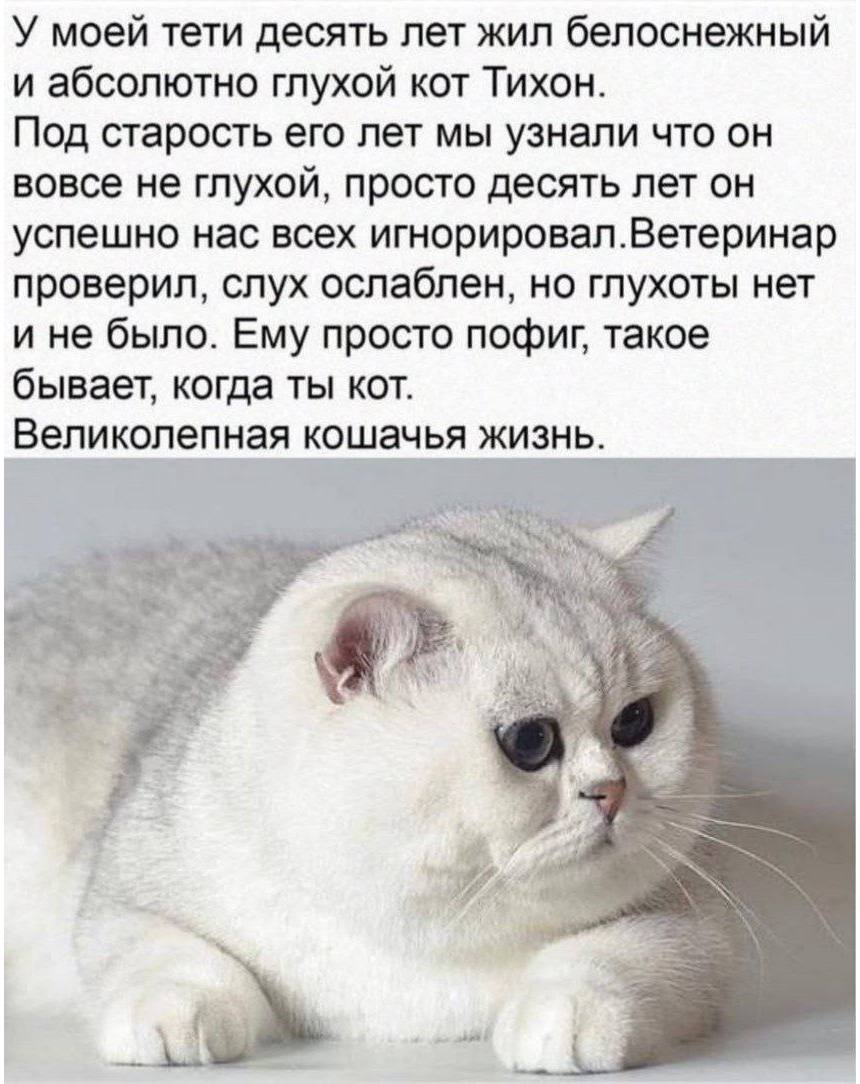 IMG_3743.jpeg