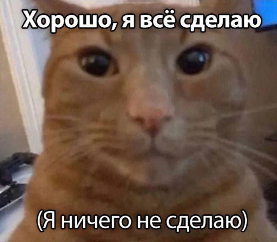 IMG_3745.jpeg