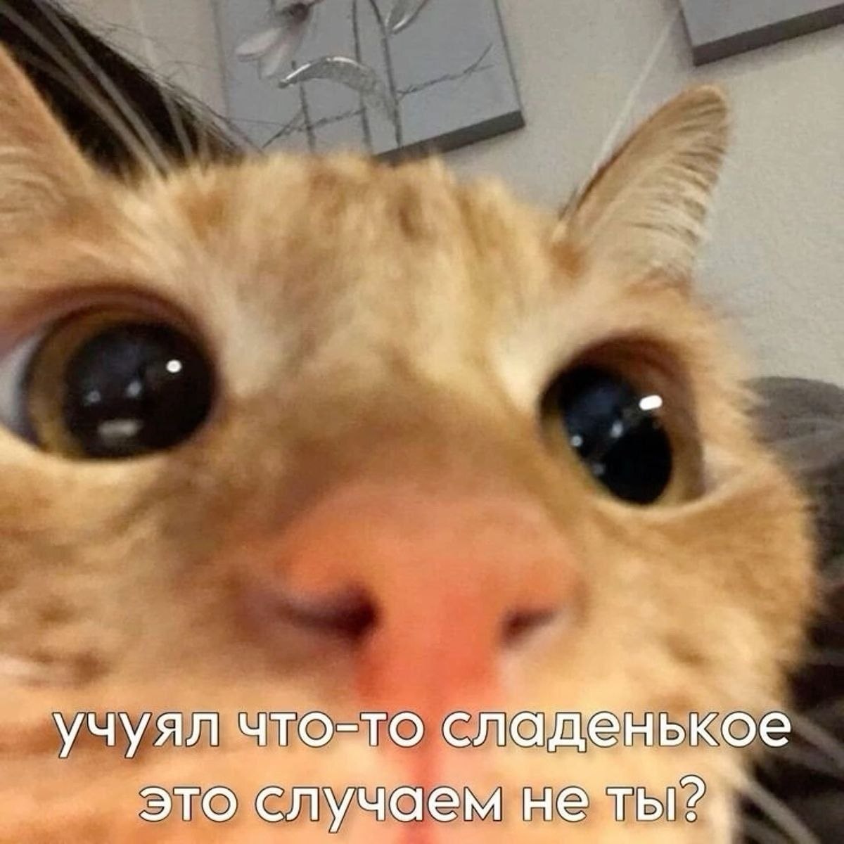 IMG_3752.jpeg