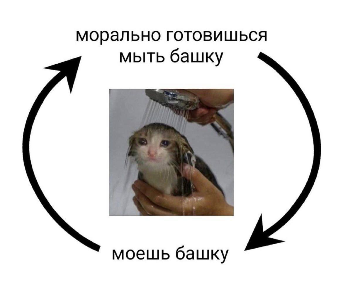IMG_3769.jpeg