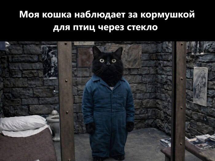 IMG_3783.jpeg