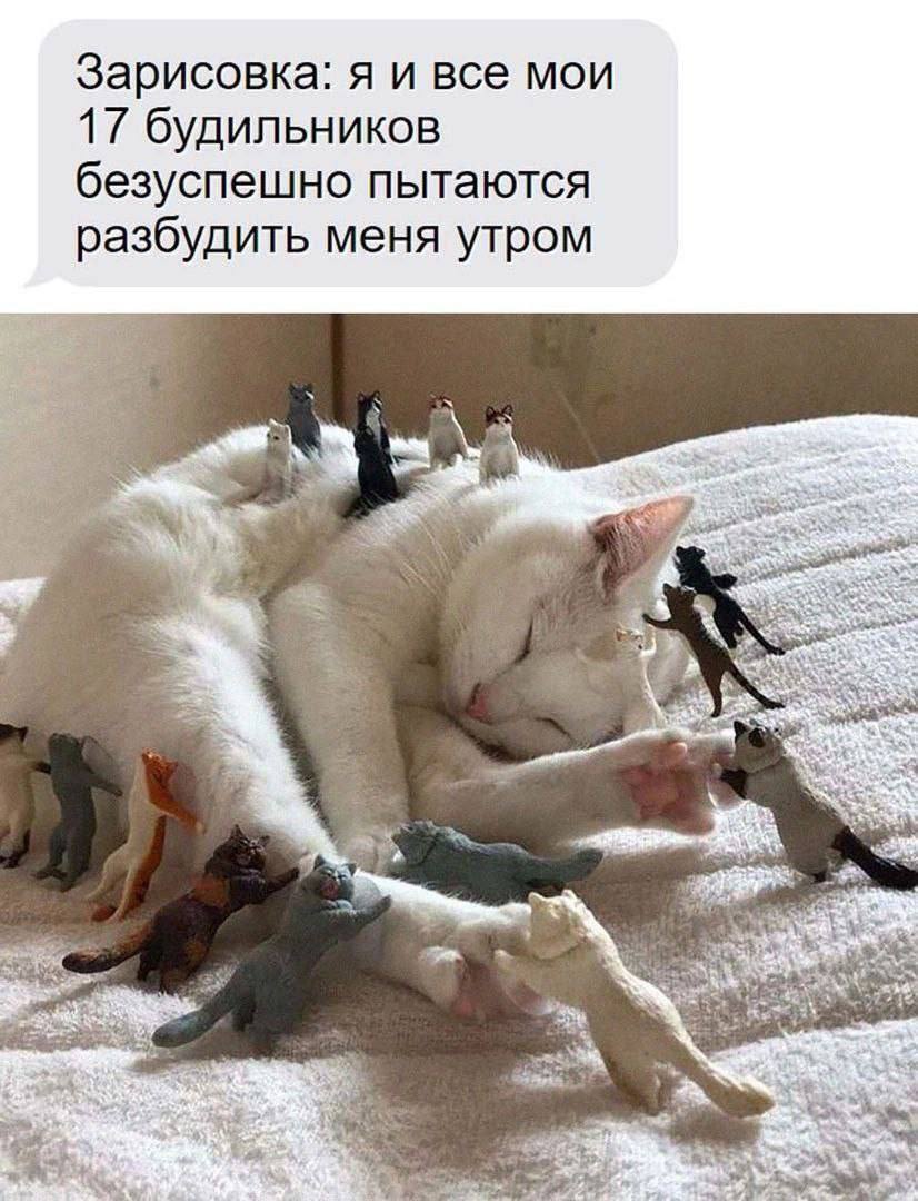 IMG_3796.jpeg