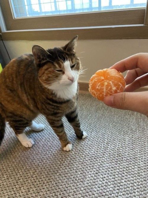 IMG_3808.jpeg