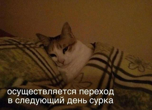 IMG_3811.jpeg