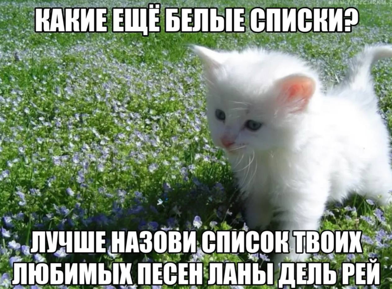 IMG_3948.jpeg