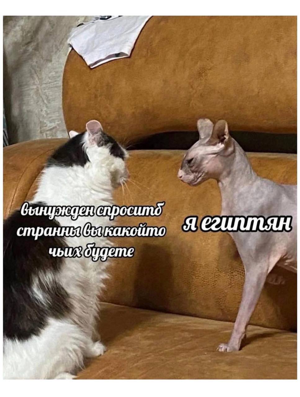 IMG_3957.jpeg