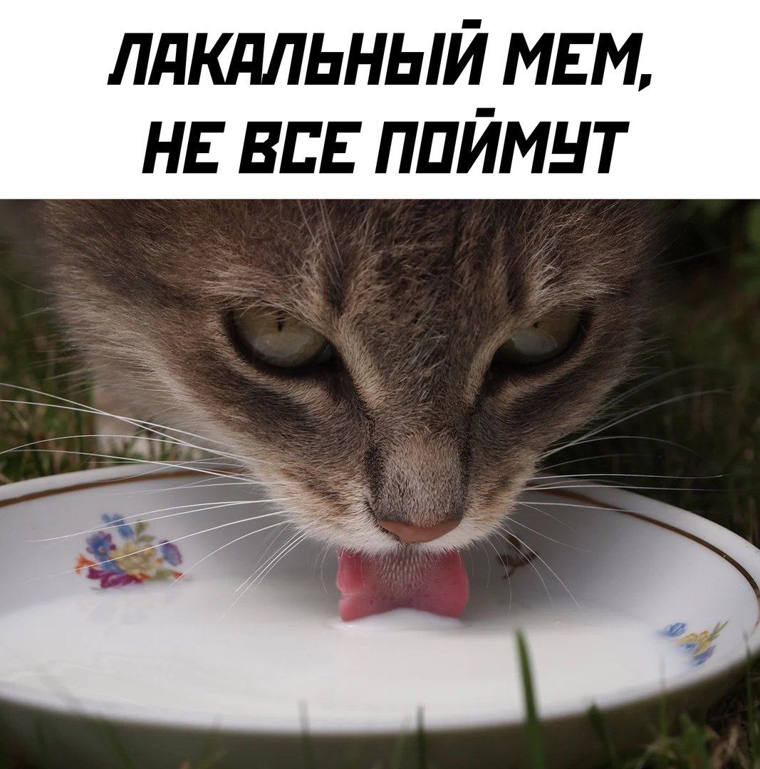 IMG_3992.jpeg