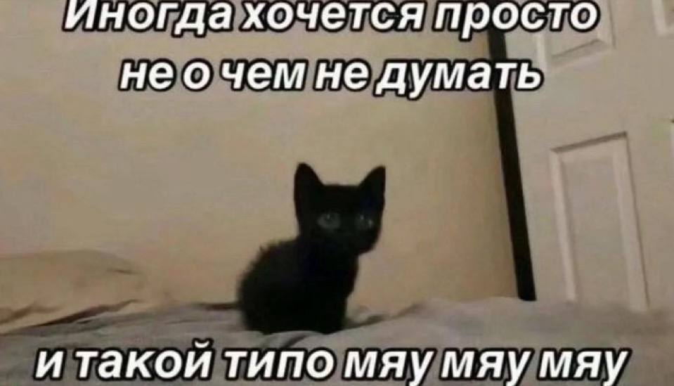 IMG_3995.jpeg