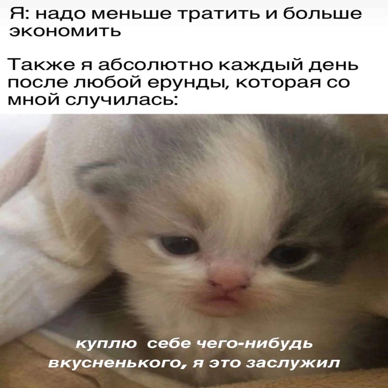 IMG_4058.jpeg