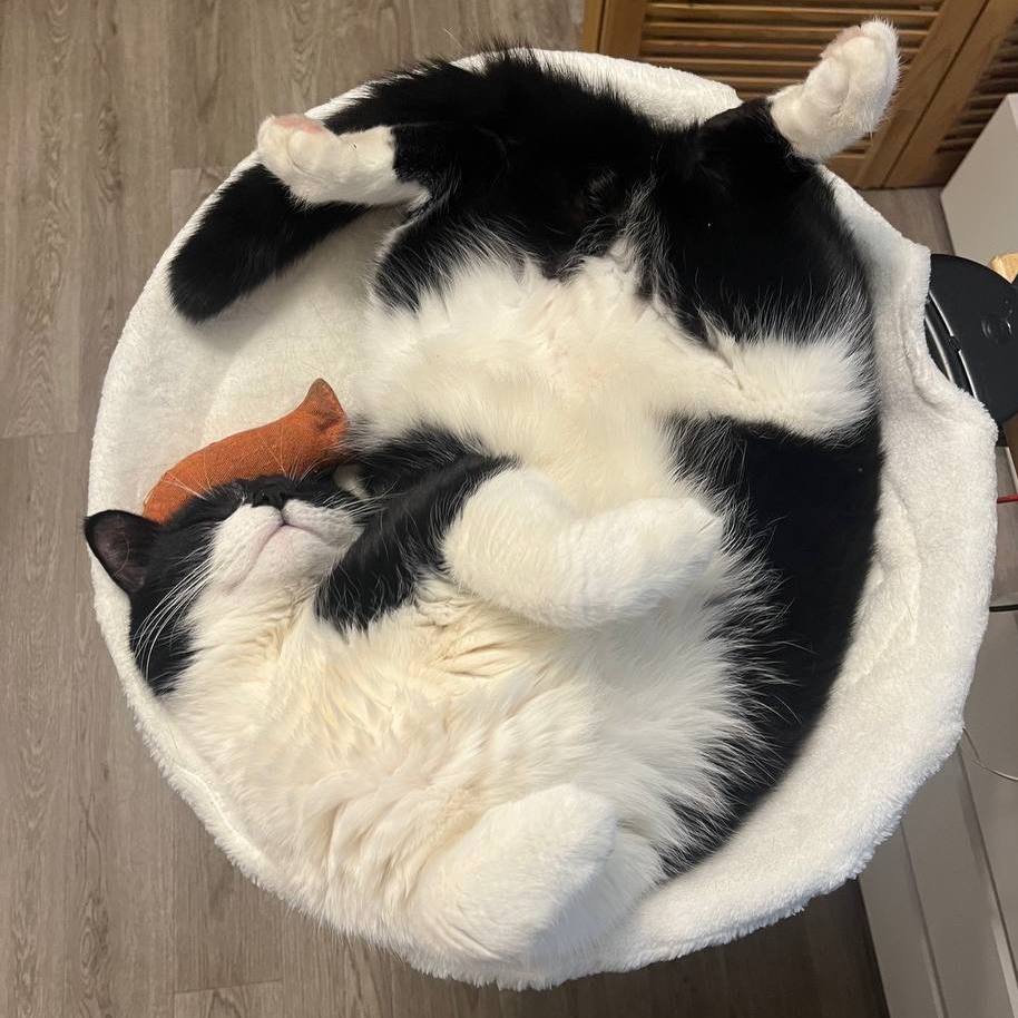 IMG_4060.jpeg