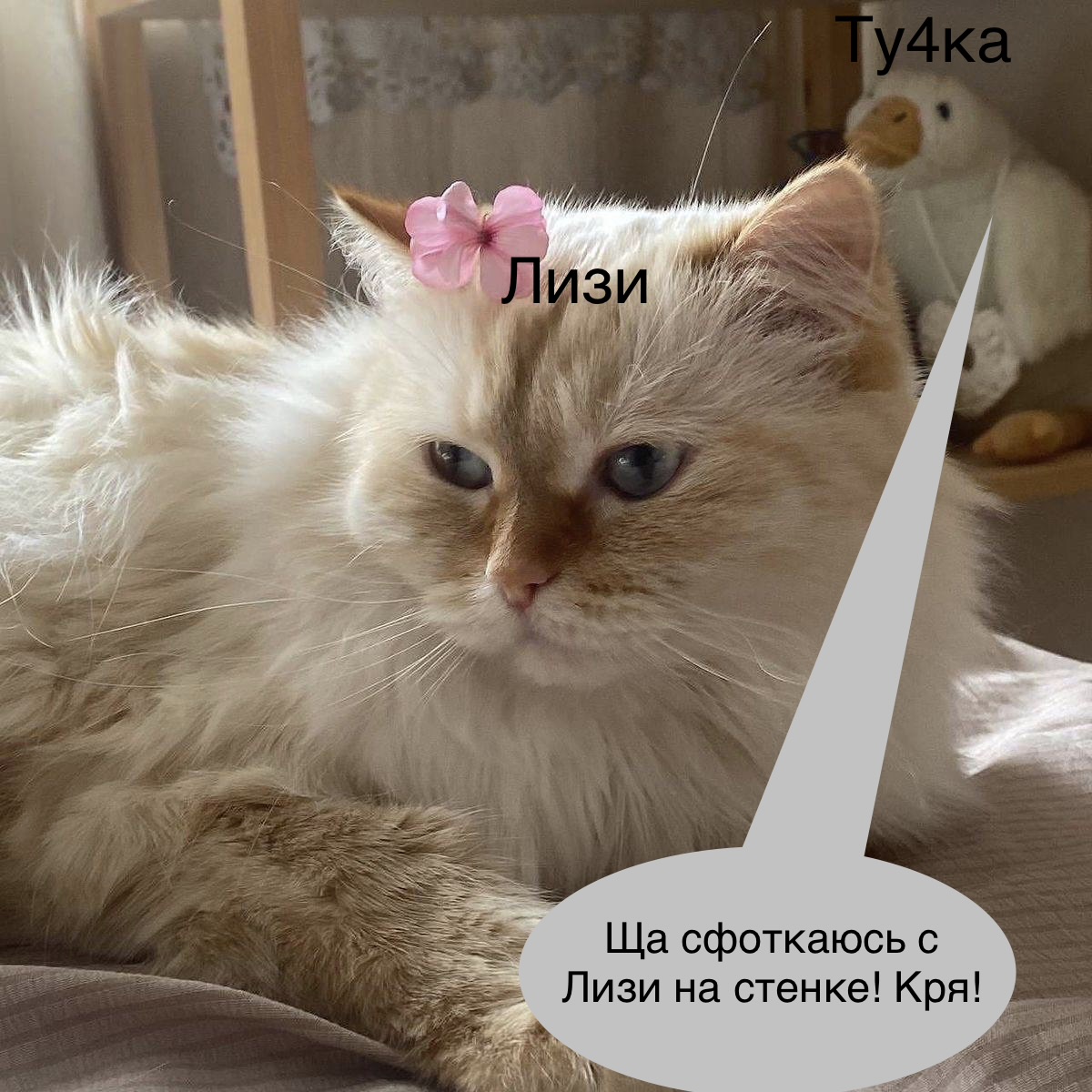 IMG_4082.jpeg