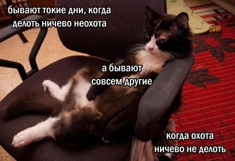 IMG_4086.jpeg