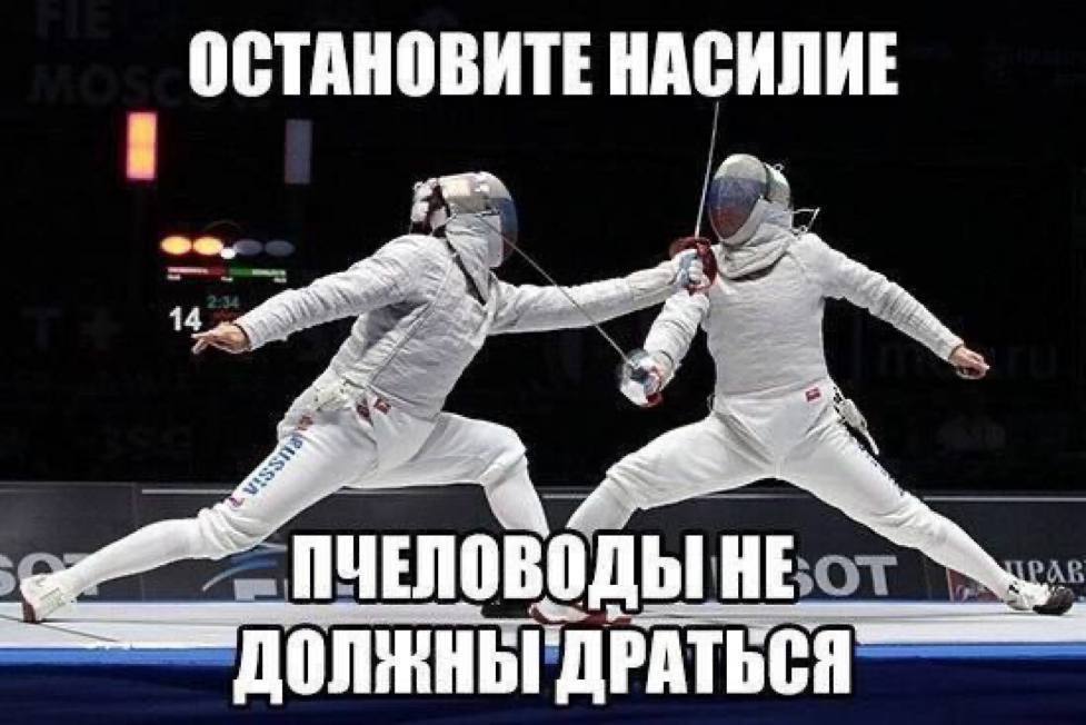 IMG_4132.jpeg