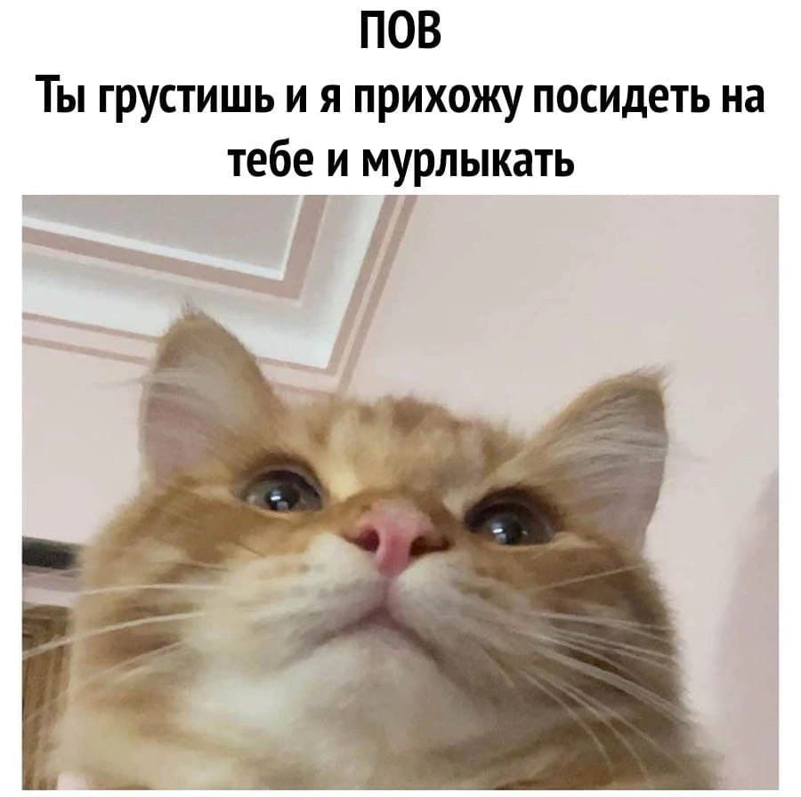 IMG_4139.jpeg