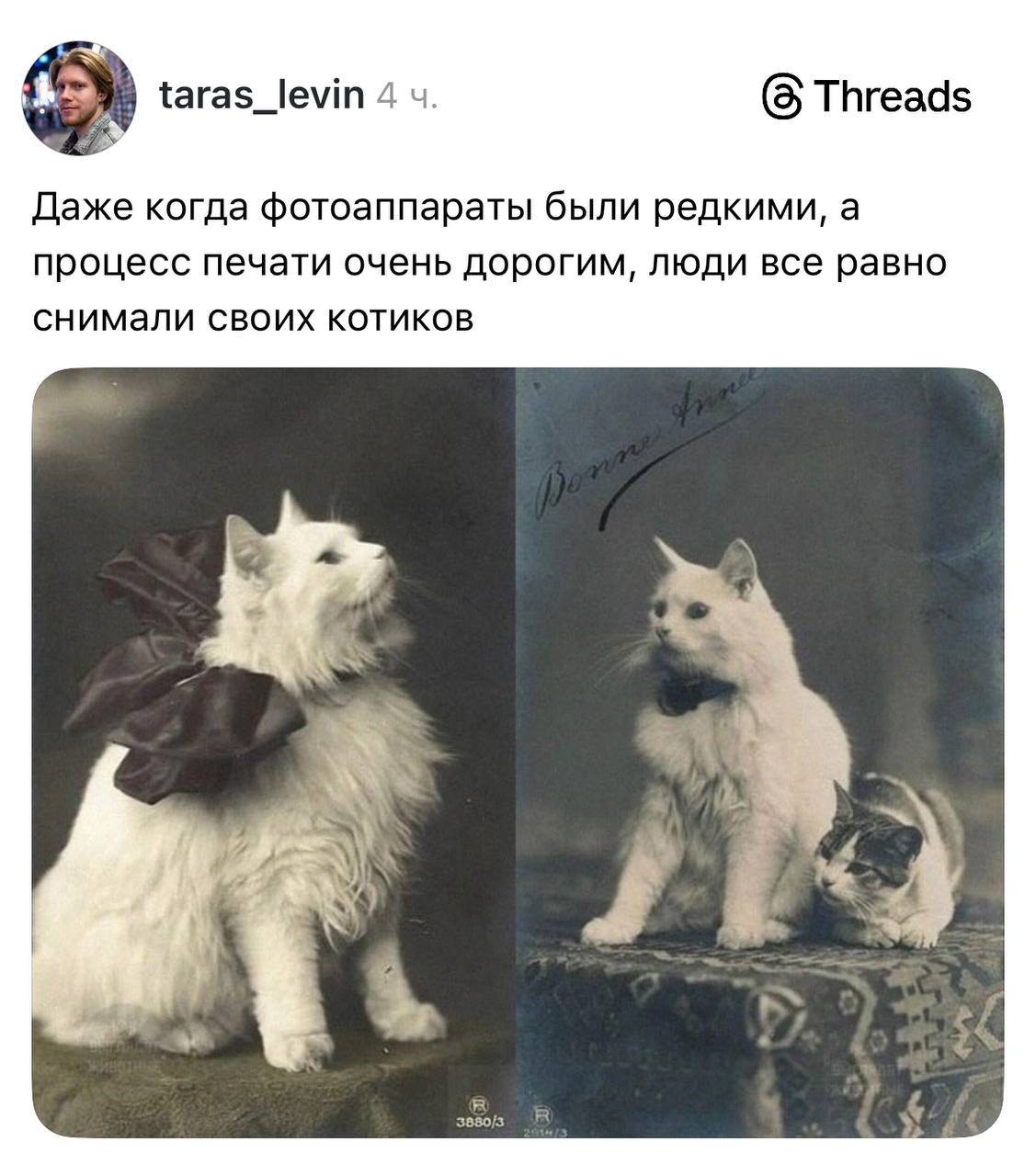 IMG_4148.jpeg