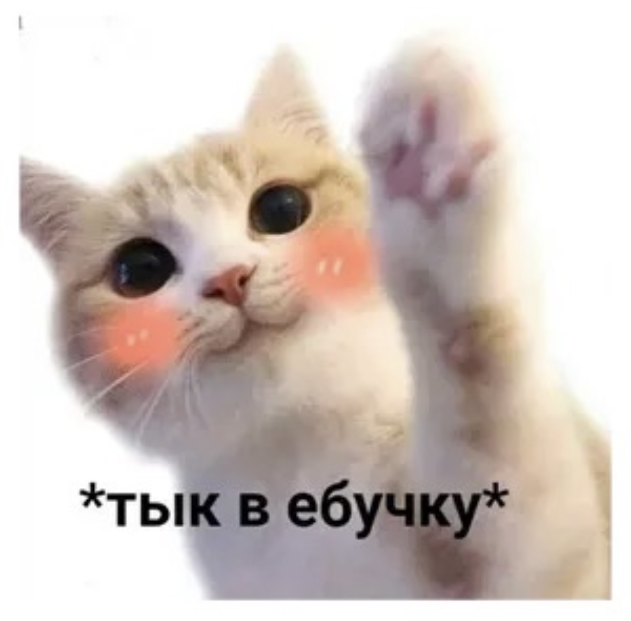 IMG_4305.jpeg