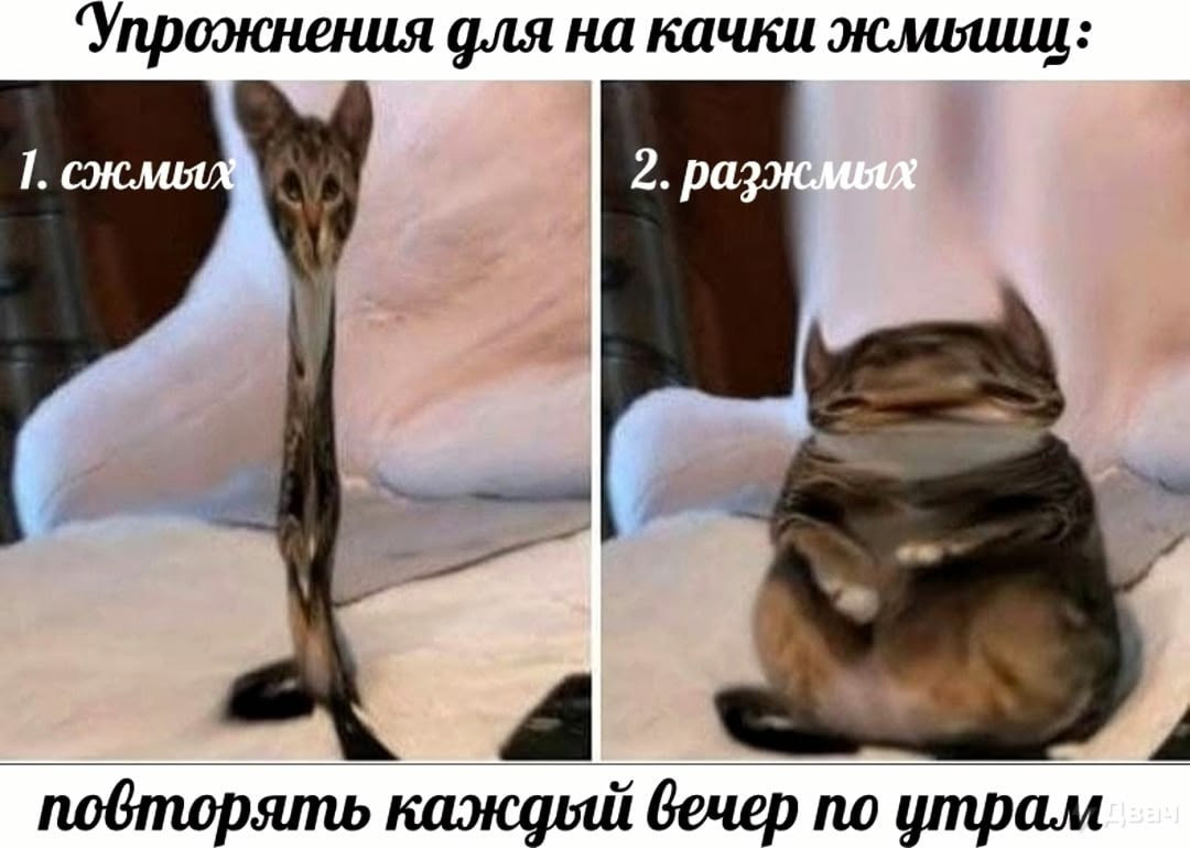 IMG_4325.png