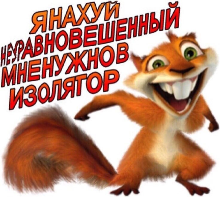 IMG_4437.jpeg