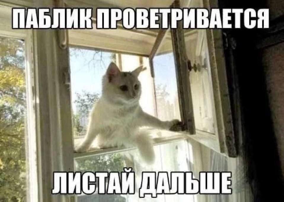 IMG_4610.jpeg