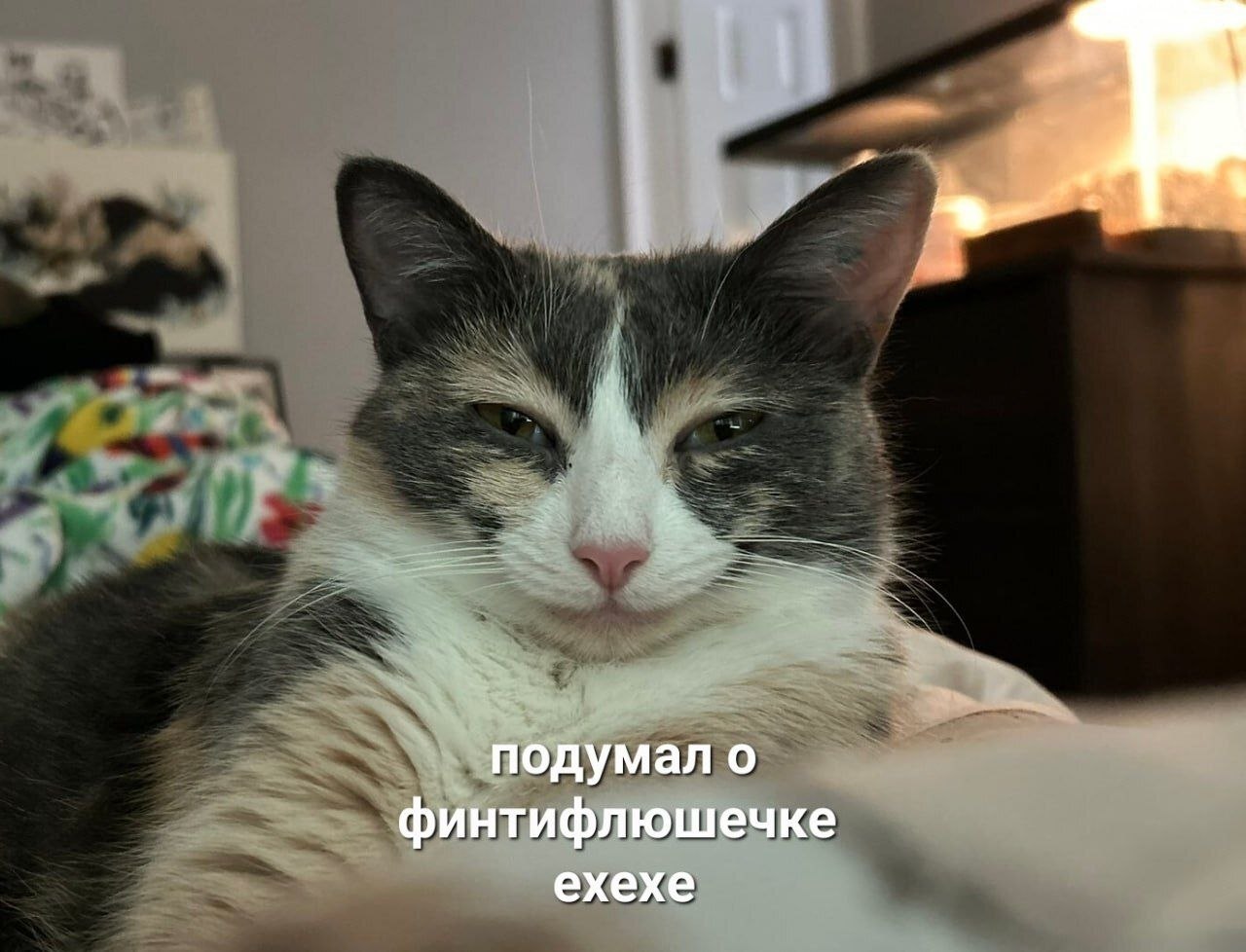 IMG_4679.jpeg