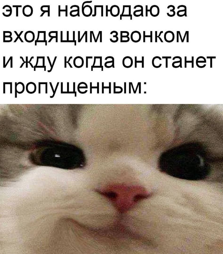IMG_4691.jpeg