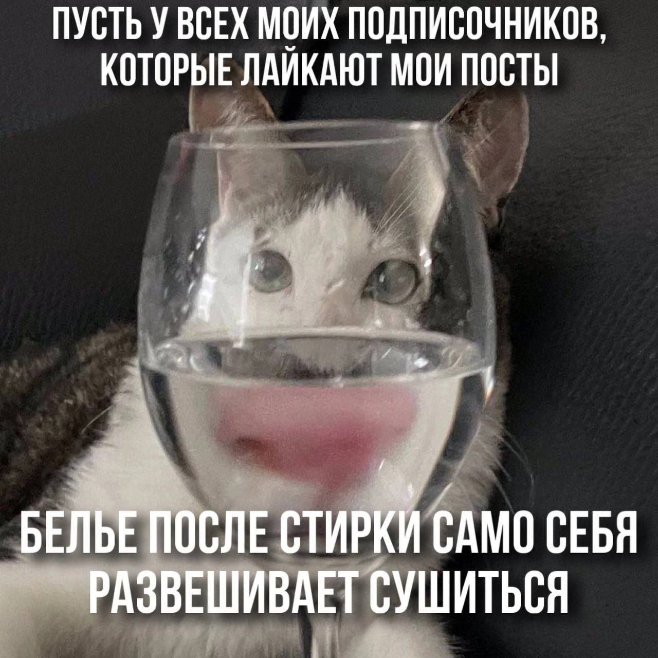 IMG_4692.jpeg