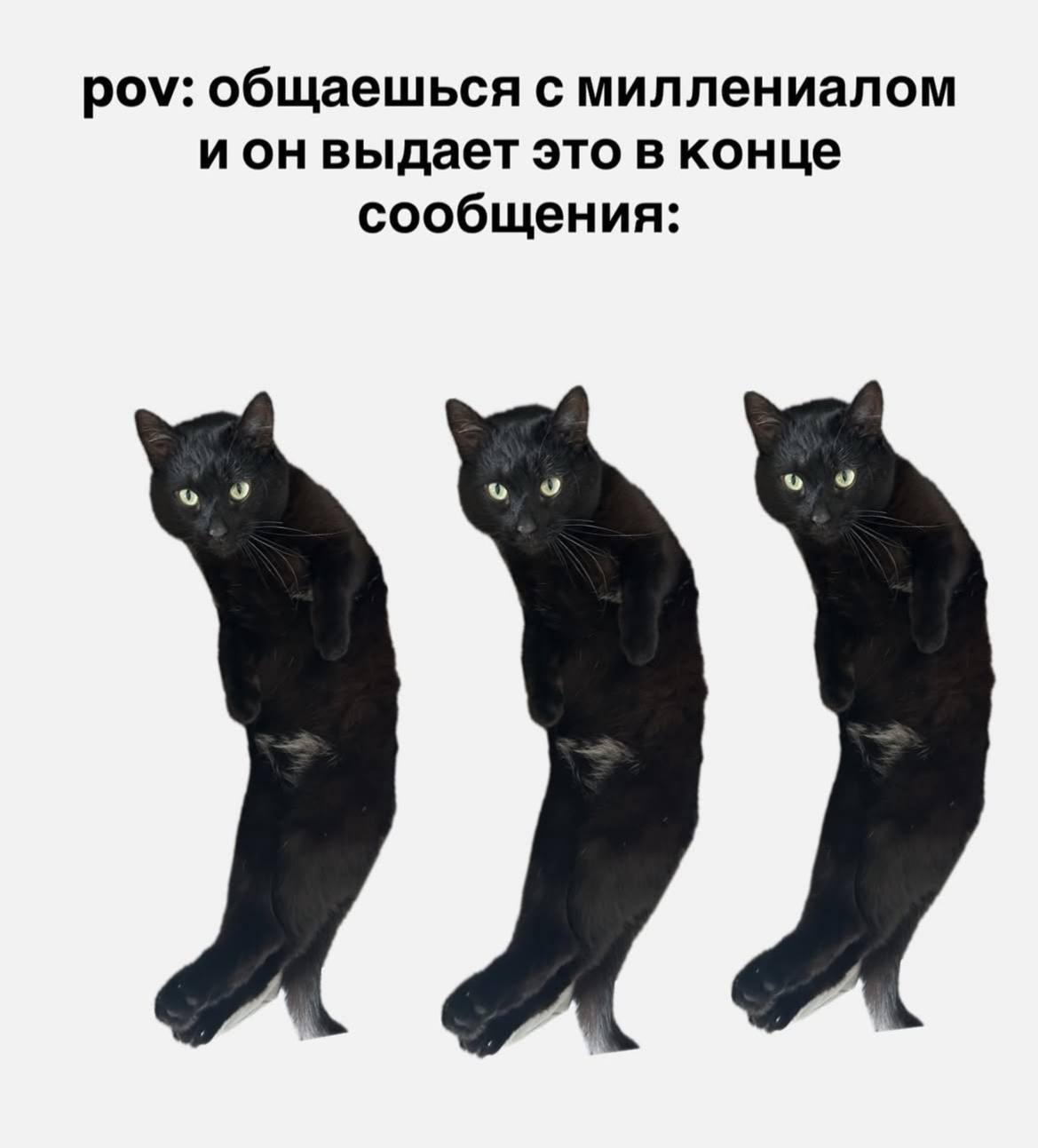 IMG_4703.jpeg