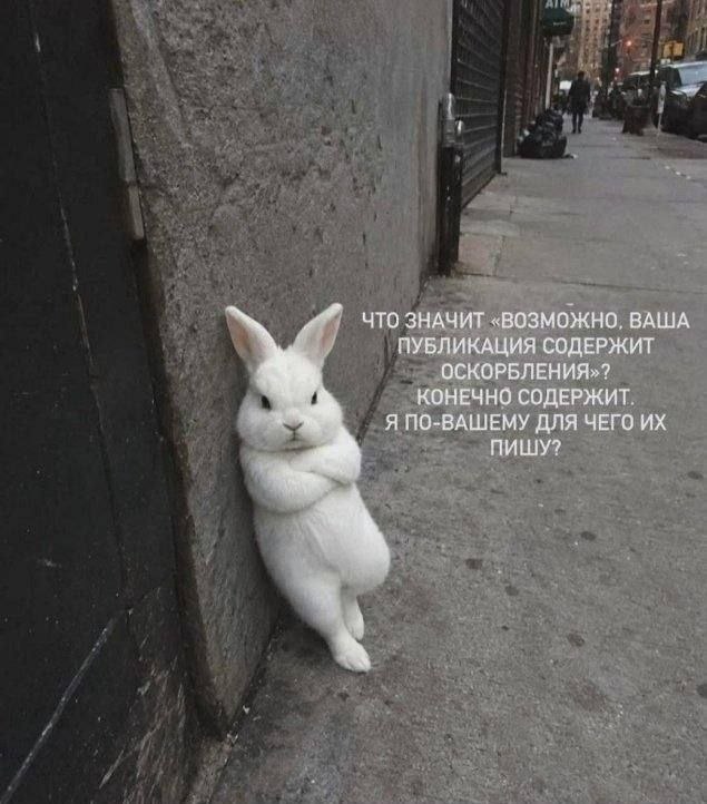 IMG_4714.jpeg