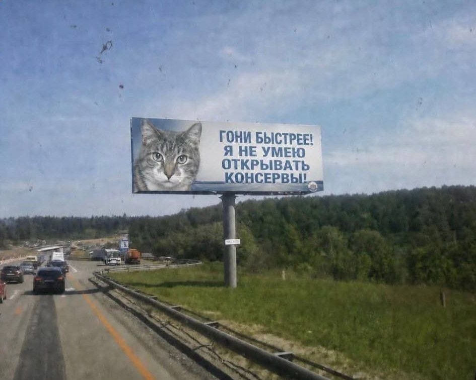 IMG_4729.jpeg