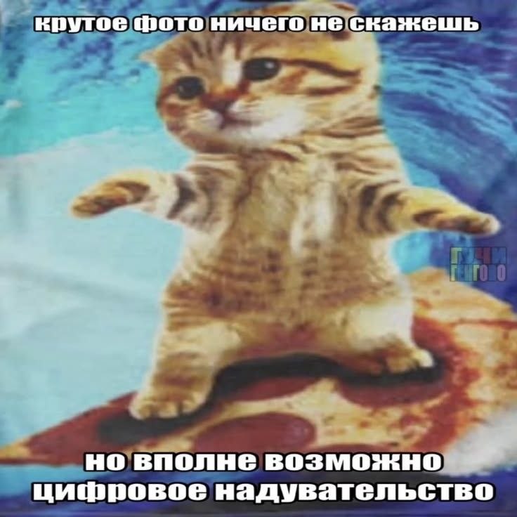 IMG_4754.jpeg