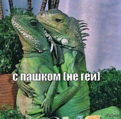 IMG_4780.jpeg