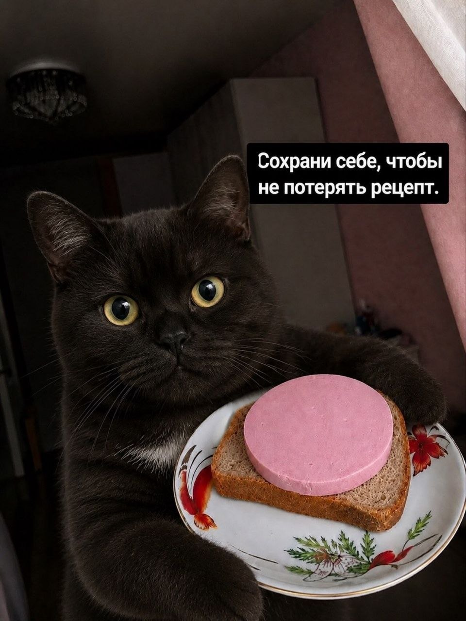 IMG_4798.jpeg